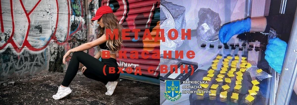 сатива Заволжье