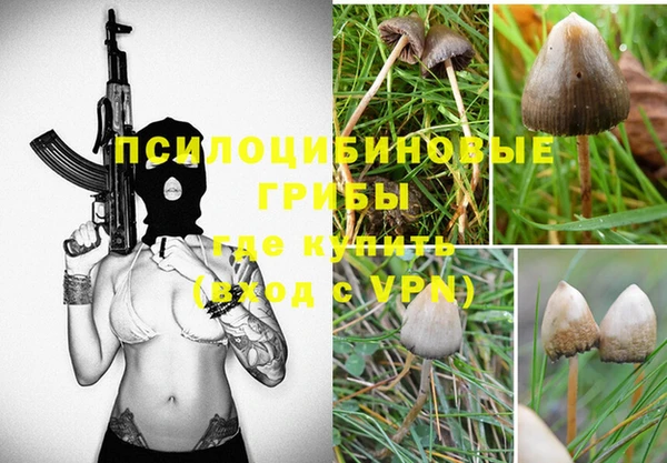 индика Армянск
