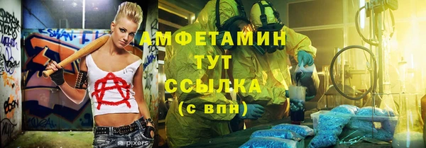 индика Армянск