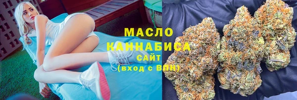 индика Армянск