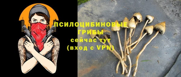 дмт Арсеньев