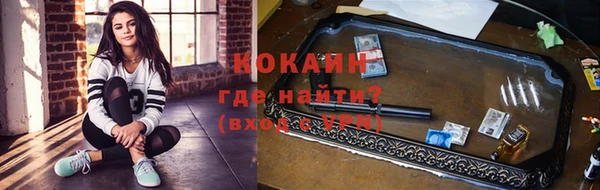 индика Армянск