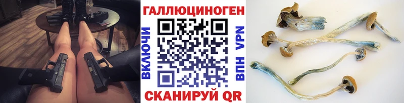 Галлюциногенные грибы Magic Shrooms  цена   Приморск 